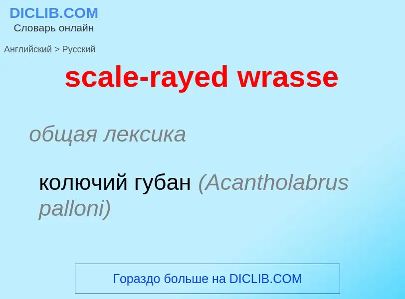 What is the الروسية for scale-rayed wrasse? Translation of &#39scale-rayed wrasse&#39 to الروسية