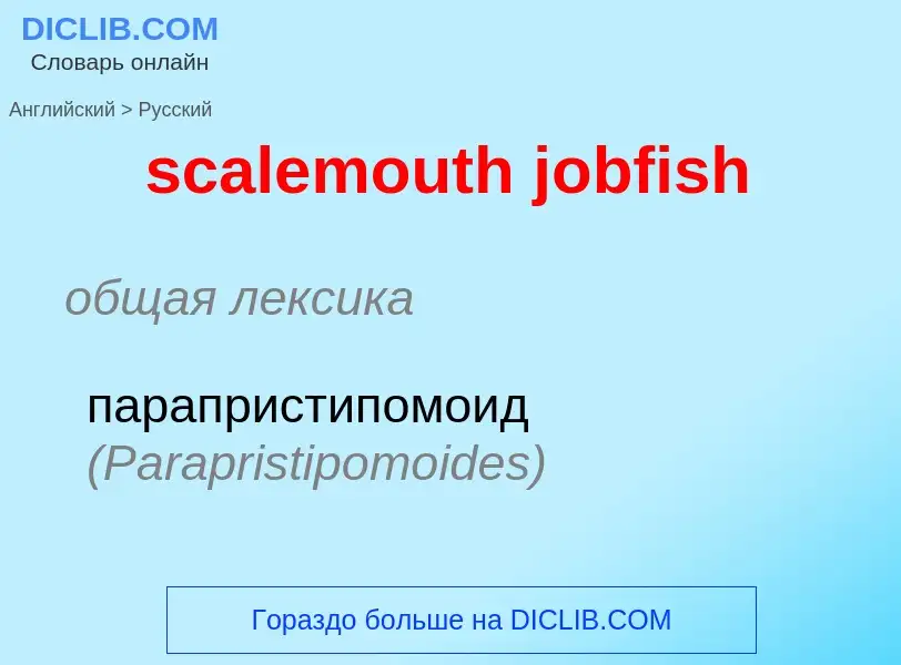 ¿Cómo se dice scalemouth jobfish en Ruso? Traducción de &#39scalemouth jobfish&#39 al Ruso