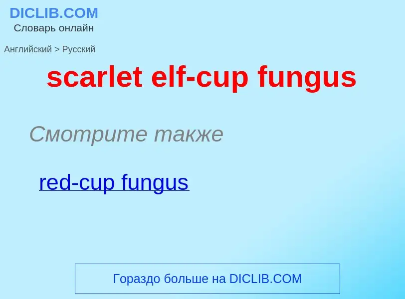 Μετάφραση του &#39scarlet elf-cup fungus&#39 σε Ρωσικά