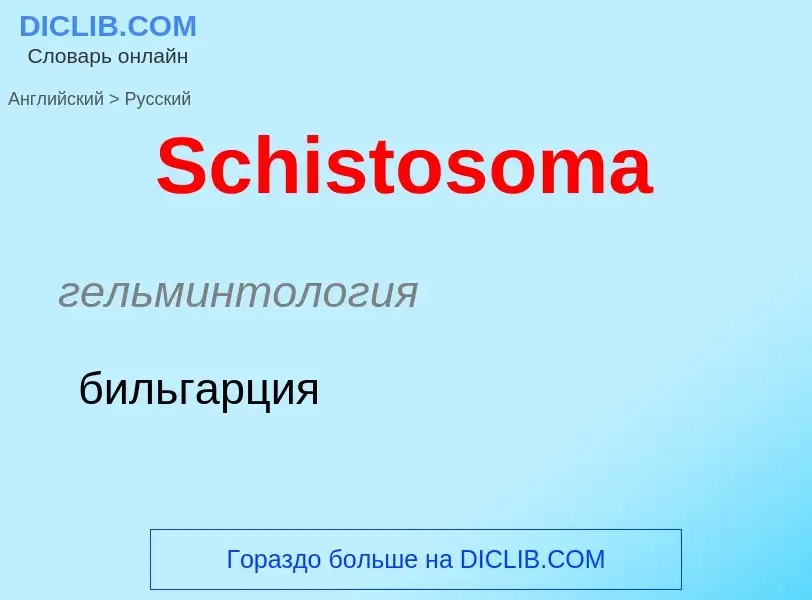 ¿Cómo se dice Schistosoma en Ruso? Traducción de &#39Schistosoma&#39 al Ruso