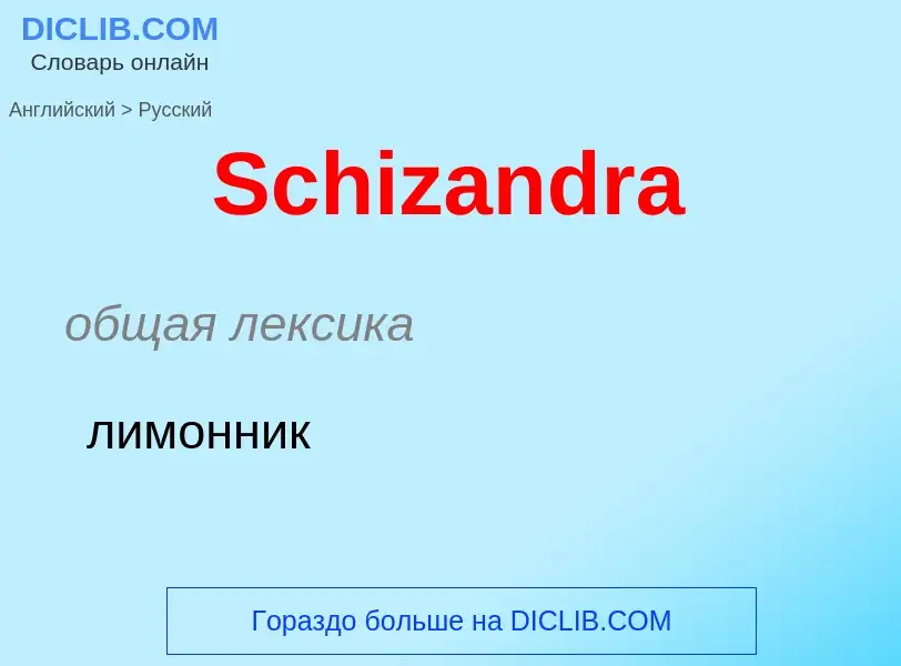 ¿Cómo se dice Schizandra en Ruso? Traducción de &#39Schizandra&#39 al Ruso