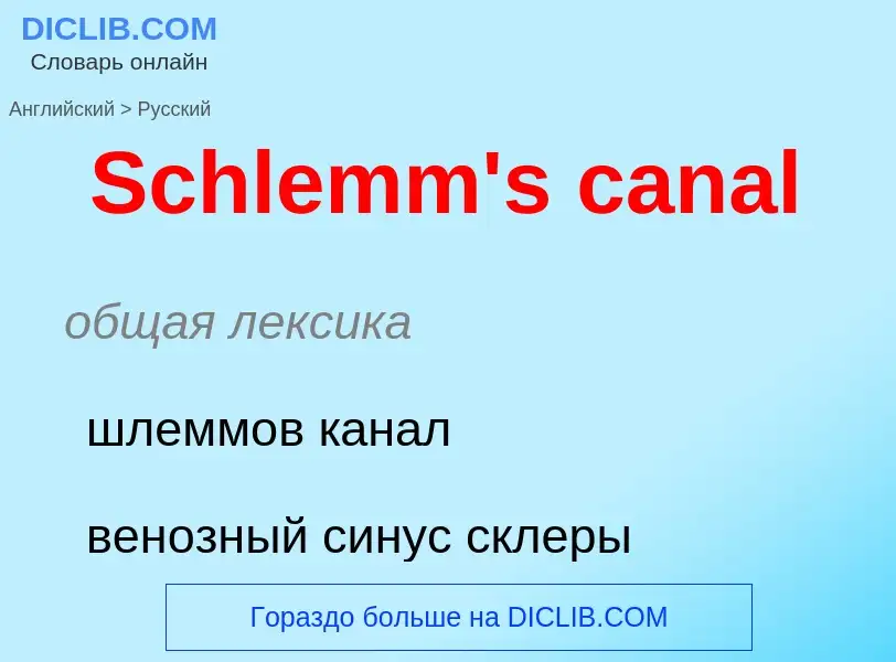 ¿Cómo se dice Schlemm's canal en Ruso? Traducción de &#39Schlemm's canal&#39 al Ruso