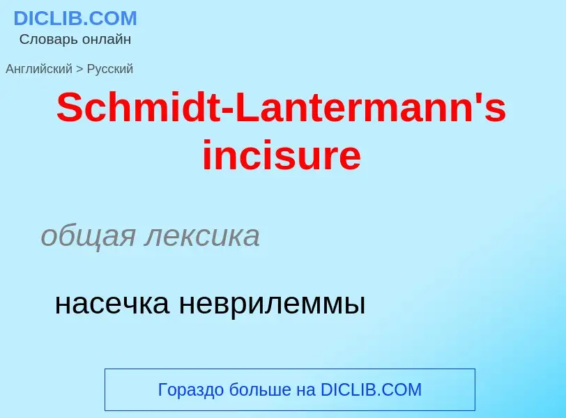 ¿Cómo se dice Schmidt-Lantermann's incisure en Ruso? Traducción de &#39Schmidt-Lantermann's incisure