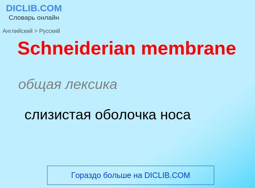 ¿Cómo se dice Schneiderian membrane en Ruso? Traducción de &#39Schneiderian membrane&#39 al Ruso