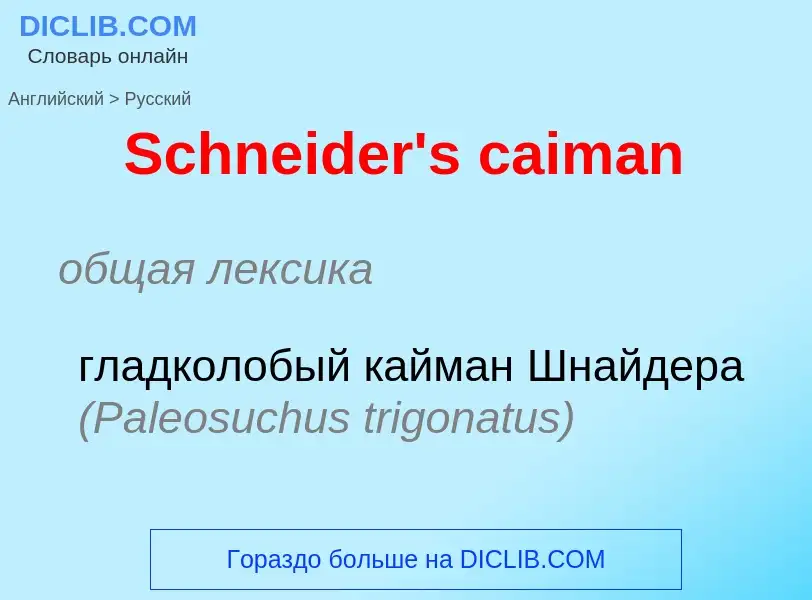 ¿Cómo se dice Schneider's caiman en Ruso? Traducción de &#39Schneider's caiman&#39 al Ruso