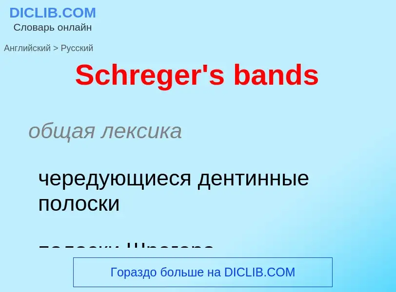 ¿Cómo se dice Schreger's bands en Ruso? Traducción de &#39Schreger's bands&#39 al Ruso