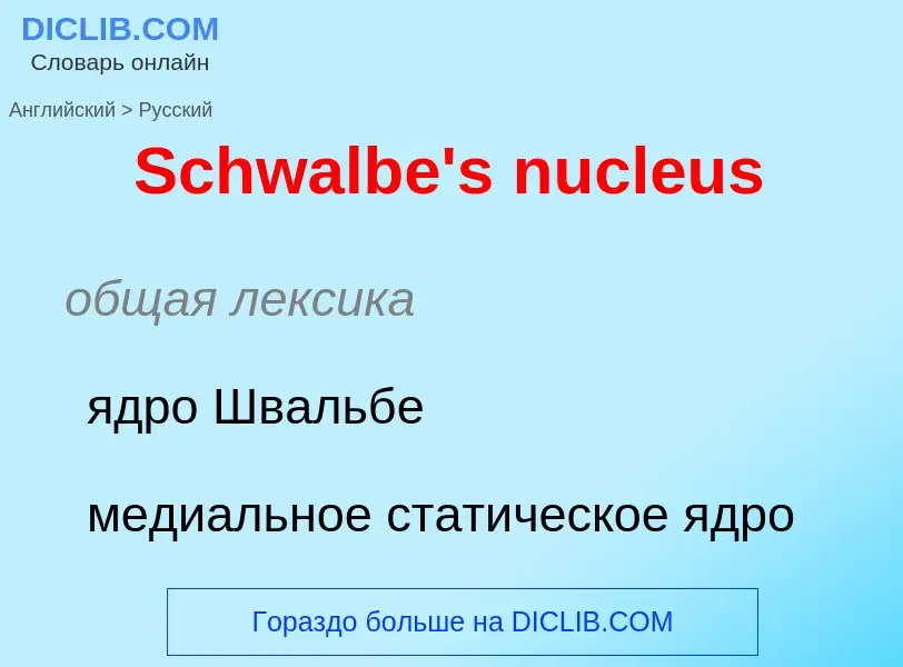 ¿Cómo se dice Schwalbe's nucleus en Ruso? Traducción de &#39Schwalbe's nucleus&#39 al Ruso