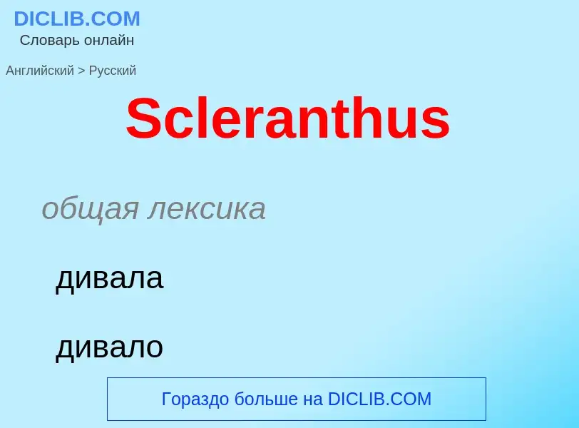 ¿Cómo se dice Scleranthus en Ruso? Traducción de &#39Scleranthus&#39 al Ruso