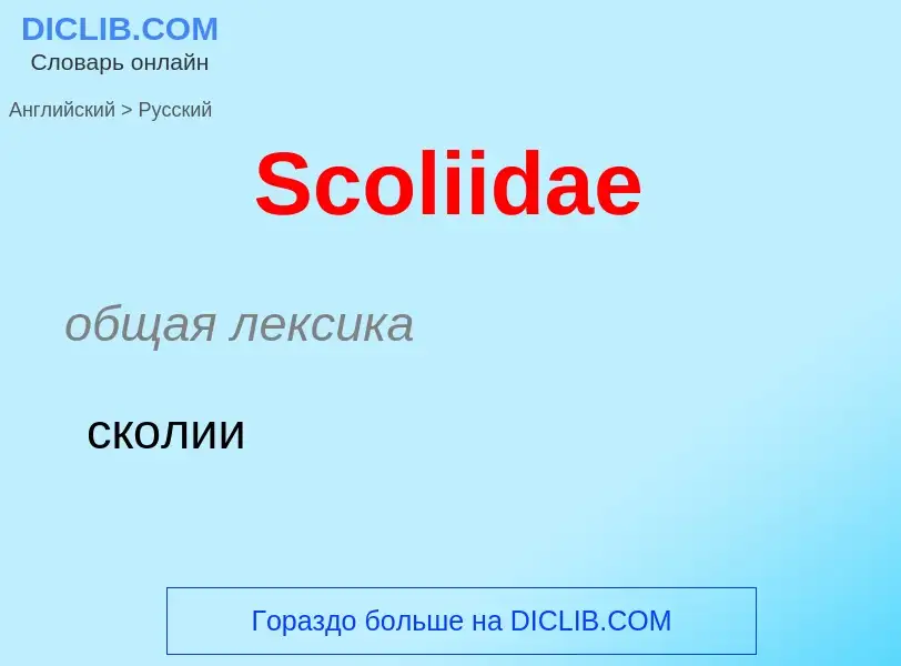 ¿Cómo se dice Scoliidae en Ruso? Traducción de &#39Scoliidae&#39 al Ruso