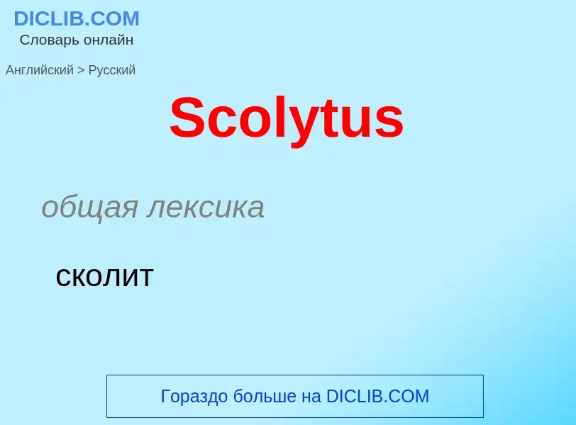 ¿Cómo se dice Scolytus en Ruso? Traducción de &#39Scolytus&#39 al Ruso