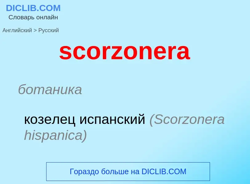 ¿Cómo se dice scorzonera en Ruso? Traducción de &#39scorzonera&#39 al Ruso