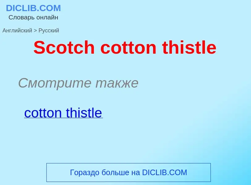 ¿Cómo se dice Scotch cotton thistle en Ruso? Traducción de &#39Scotch cotton thistle&#39 al Ruso