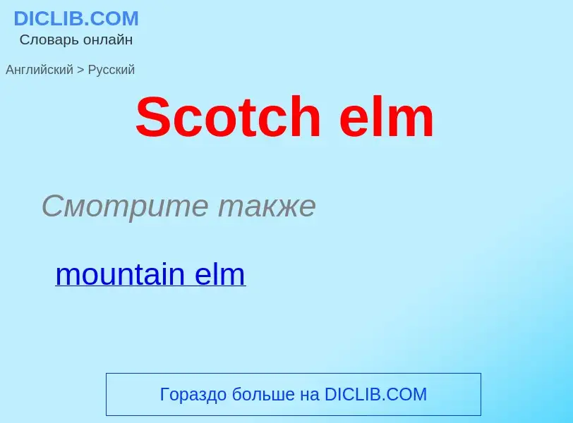 ¿Cómo se dice Scotch elm en Ruso? Traducción de &#39Scotch elm&#39 al Ruso