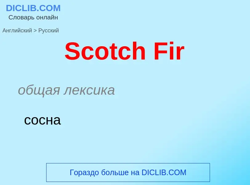 ¿Cómo se dice Scotch Fir en Ruso? Traducción de &#39Scotch Fir&#39 al Ruso