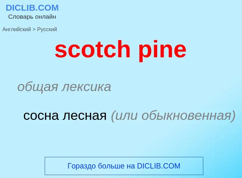 ¿Cómo se dice scotch pine en Ruso? Traducción de &#39scotch pine&#39 al Ruso