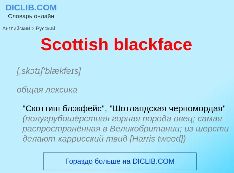 ¿Cómo se dice Scottish blackface en Ruso? Traducción de &#39Scottish blackface&#39 al Ruso