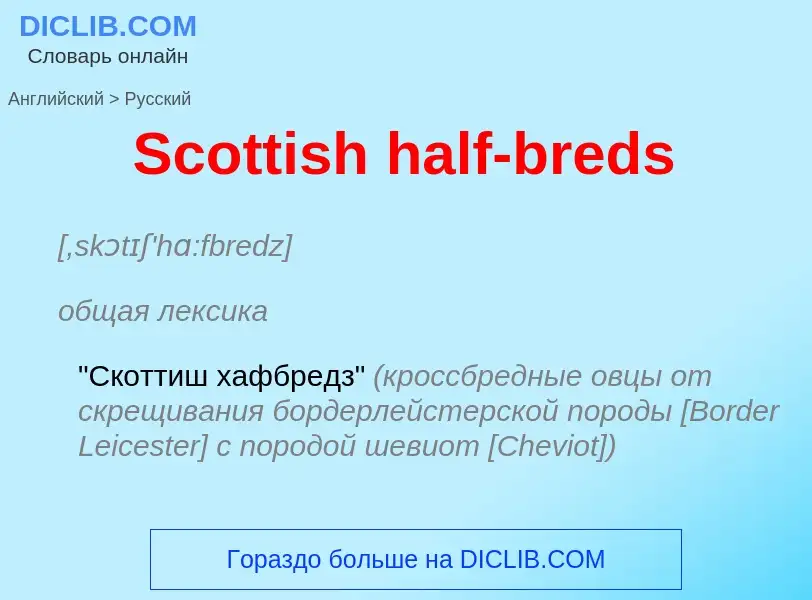 ¿Cómo se dice Scottish half-breds en Ruso? Traducción de &#39Scottish half-breds&#39 al Ruso