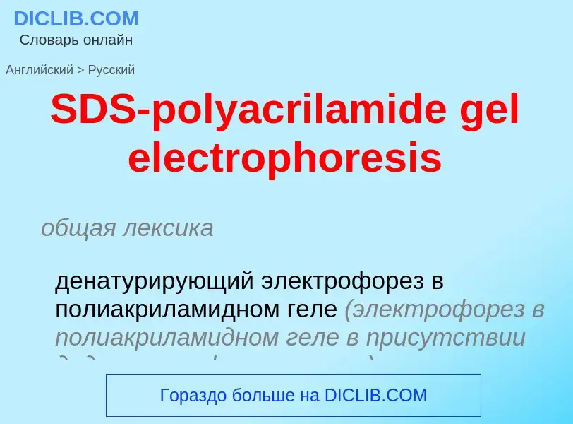 Μετάφραση του &#39SDS-polyacrilamide gel electrophoresis&#39 σε Ρωσικά