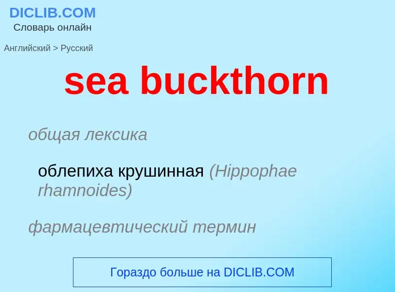 ¿Cómo se dice sea buckthorn en Ruso? Traducción de &#39sea buckthorn&#39 al Ruso