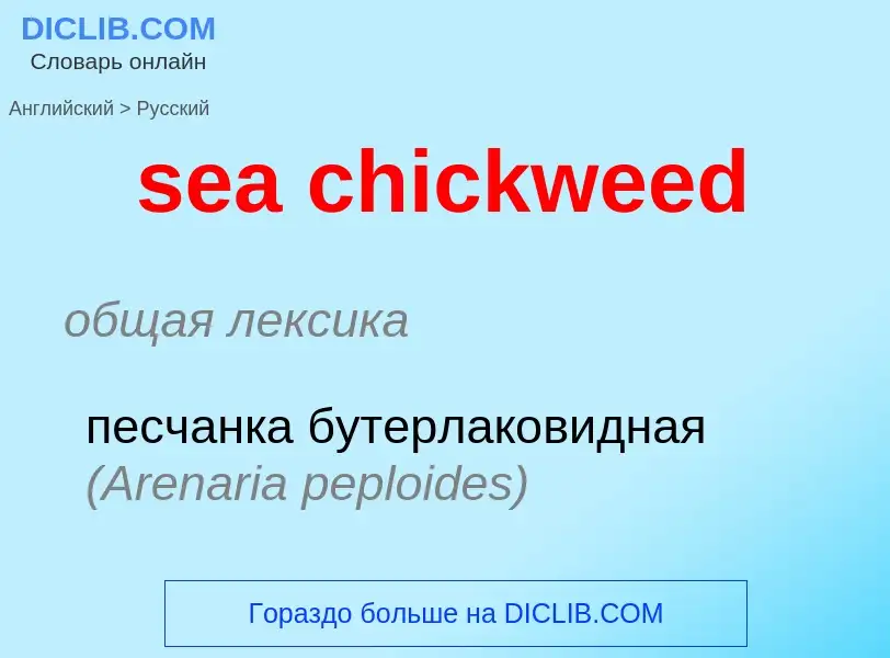 Vertaling van &#39sea chickweed&#39 naar Russisch