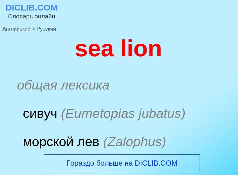 Как переводится sea lion на Русский язык