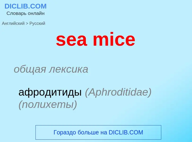 ¿Cómo se dice sea mice en Ruso? Traducción de &#39sea mice&#39 al Ruso