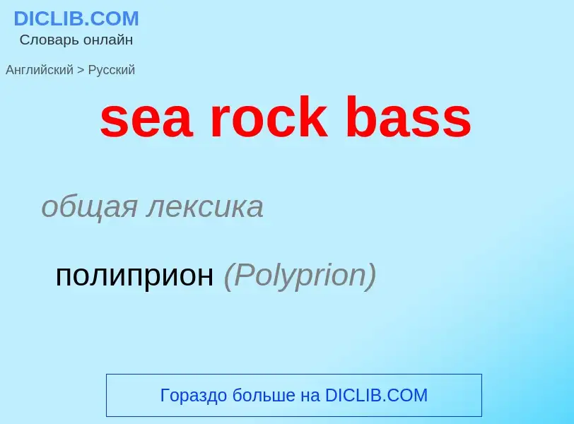 Как переводится sea rock bass на Русский язык