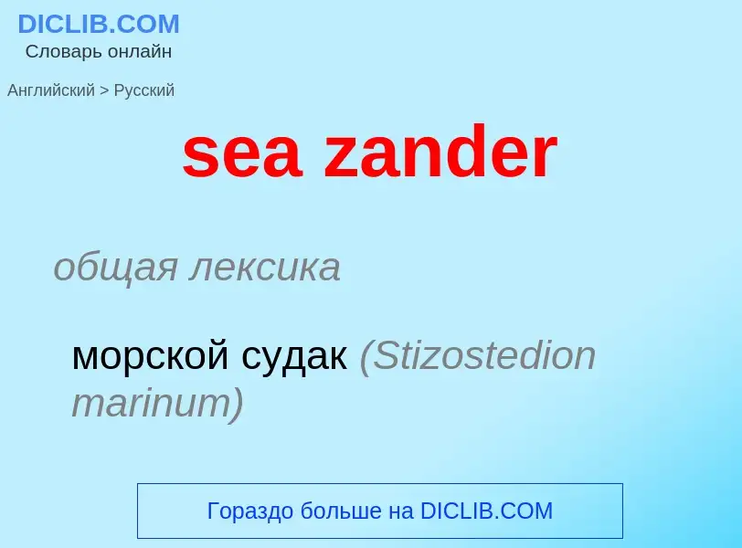 Como se diz sea zander em Russo? Tradução de &#39sea zander&#39 em Russo