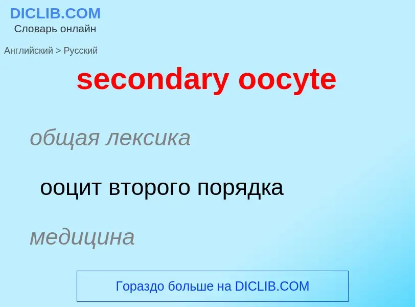 Como se diz secondary oocyte em Russo? Tradução de &#39secondary oocyte&#39 em Russo