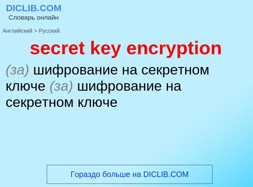 What is the Russian for secret key encryption? Translation of &#39secret key encryption&#39 to Russi