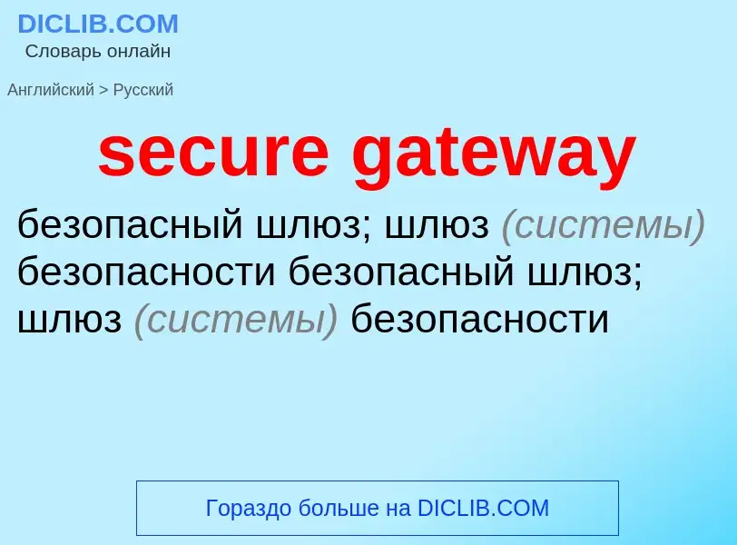 What is the Russian for secure gateway? Translation of &#39secure gateway&#39 to Russian