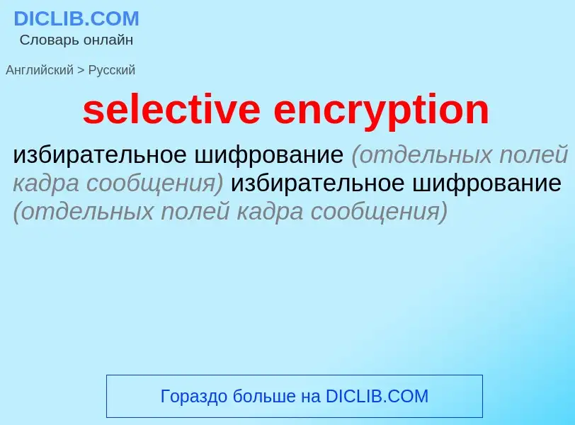 What is the Russian for selective encryption? Translation of &#39selective encryption&#39 to Russian