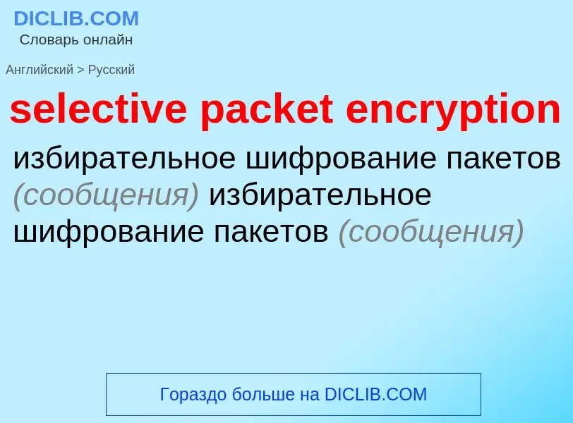 Как переводится selective packet encryption на Русский язык