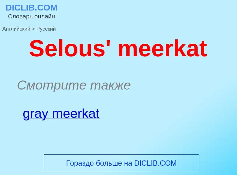 ¿Cómo se dice Selous' meerkat en Ruso? Traducción de &#39Selous' meerkat&#39 al Ruso