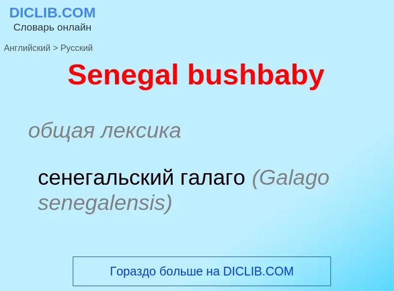 ¿Cómo se dice Senegal bushbaby en Ruso? Traducción de &#39Senegal bushbaby&#39 al Ruso