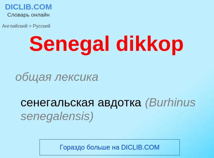 ¿Cómo se dice Senegal dikkop en Ruso? Traducción de &#39Senegal dikkop&#39 al Ruso