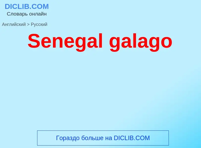 Как переводится Senegal galago на Русский язык