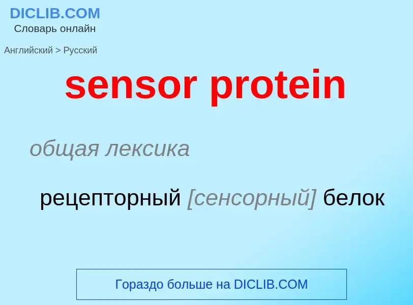 ¿Cómo se dice sensor protein en Ruso? Traducción de &#39sensor protein&#39 al Ruso