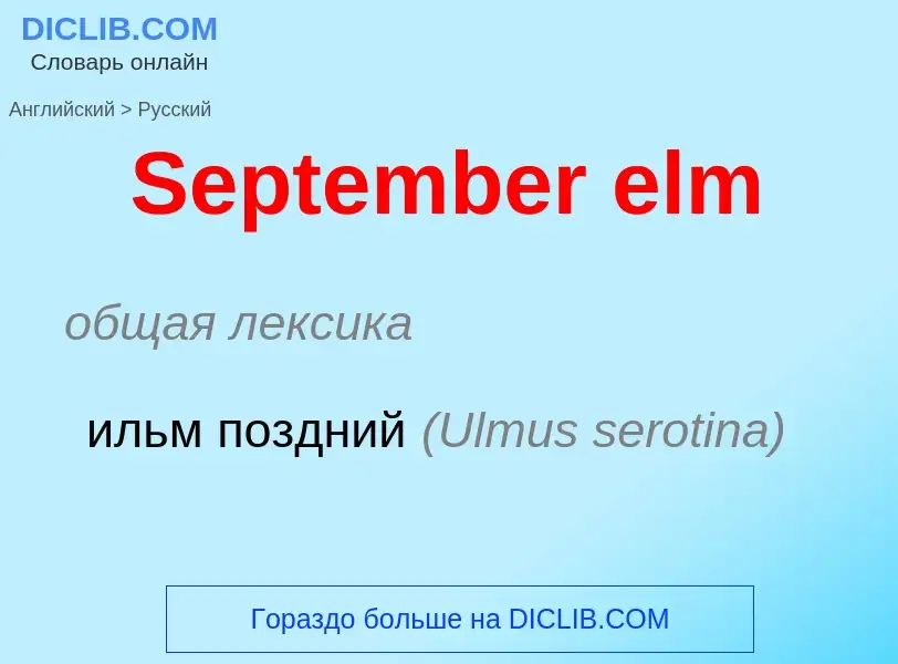 ¿Cómo se dice September elm en Ruso? Traducción de &#39September elm&#39 al Ruso