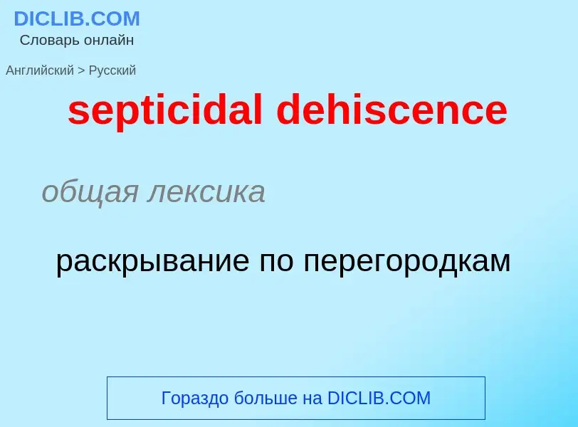 ¿Cómo se dice septicidal dehiscence en Ruso? Traducción de &#39septicidal dehiscence&#39 al Ruso