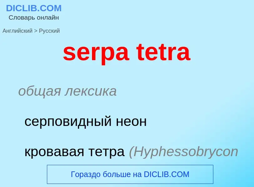 Как переводится serpa tetra на Русский язык