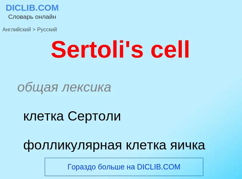 ¿Cómo se dice Sertoli's cell en Ruso? Traducción de &#39Sertoli's cell&#39 al Ruso