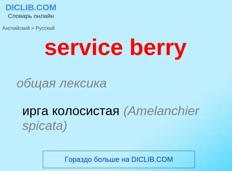 ¿Cómo se dice service berry en Ruso? Traducción de &#39service berry&#39 al Ruso