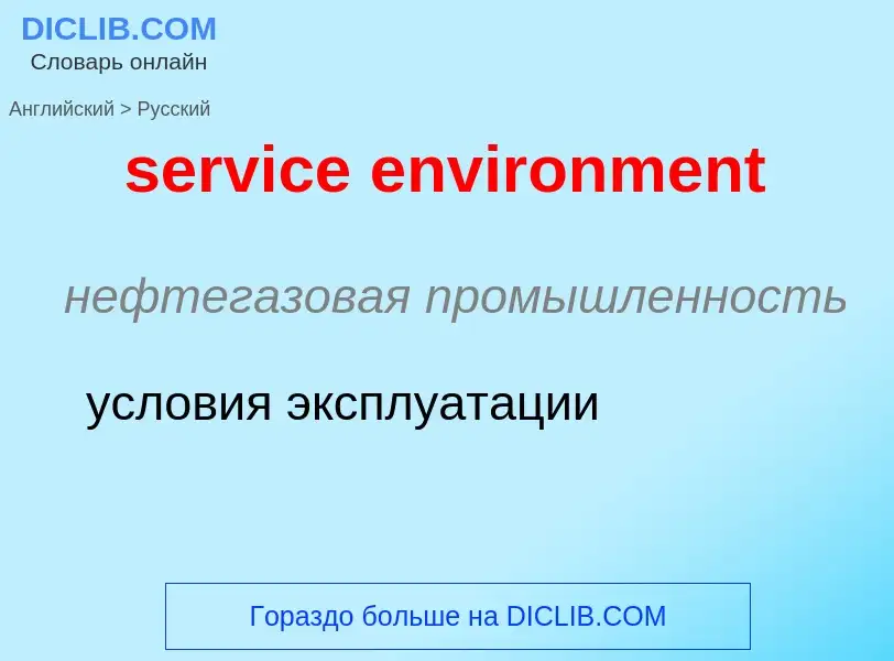 Как переводится service environment на Русский язык