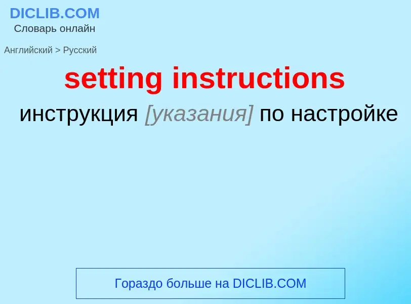 What is the Russian for setting instructions? Translation of &#39setting instructions&#39 to Russian