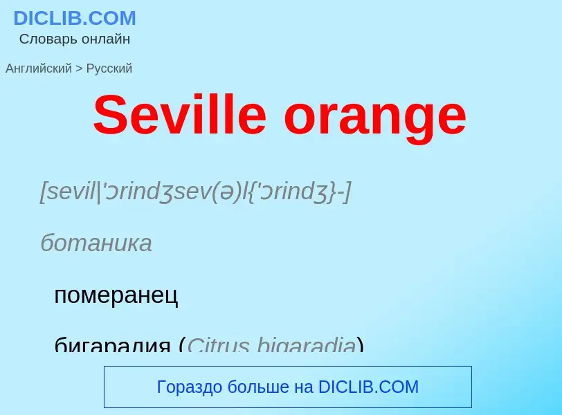 ¿Cómo se dice Seville orange en Ruso? Traducción de &#39Seville orange&#39 al Ruso