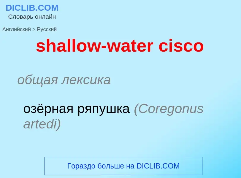 ¿Cómo se dice shallow-water cisco en Ruso? Traducción de &#39shallow-water cisco&#39 al Ruso