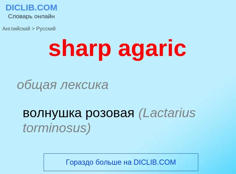 Traduction de &#39sharp agaric&#39 en Russe