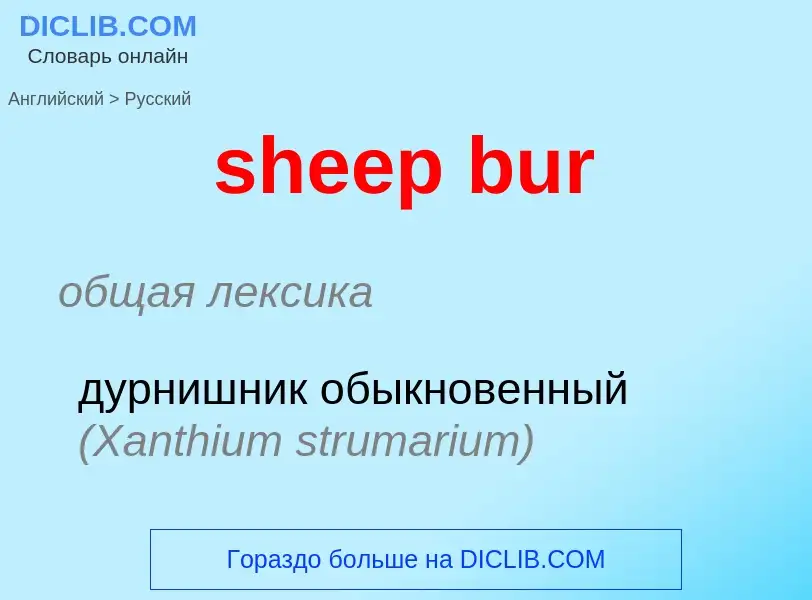 Como se diz sheep bur em Russo? Tradução de &#39sheep bur&#39 em Russo