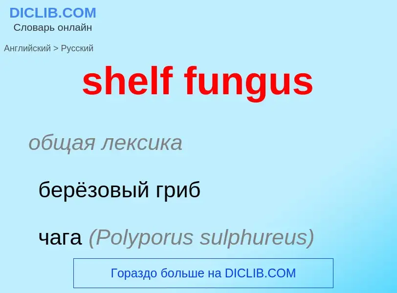 Μετάφραση του &#39shelf fungus&#39 σε Ρωσικά